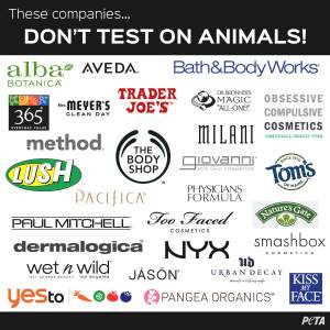 Cruelty-Free Brands | Vegan Living by Danielle