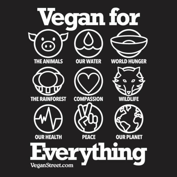 How to Go Vegan | Vegan Living by Danielle