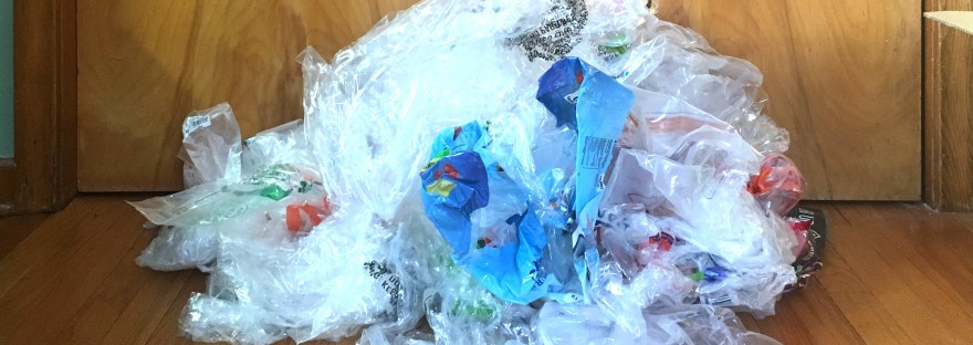 One Month of Plastic