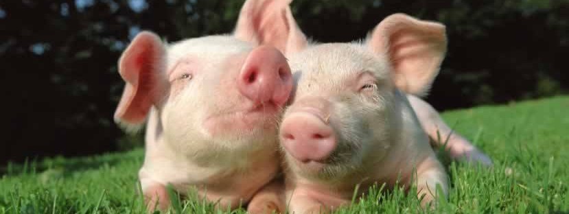 © iStock.com/anopdesignstock