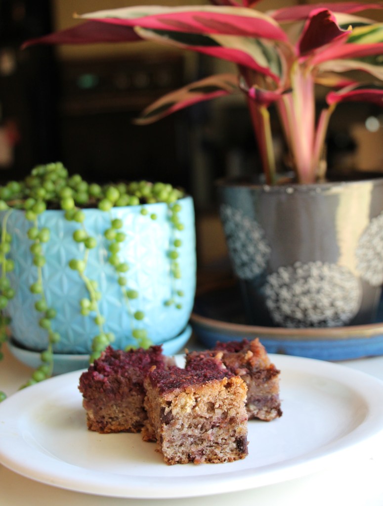 Raspberry Breakfast Bars